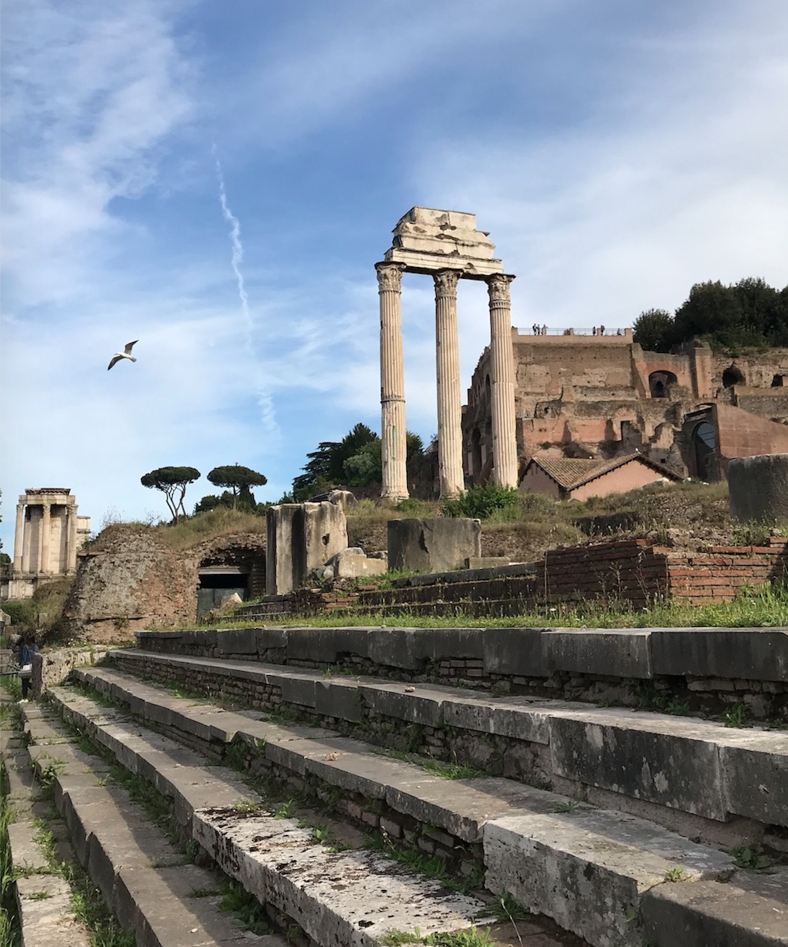 Rome Forum Temple des Dioscures