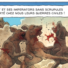 combats de chiens 
