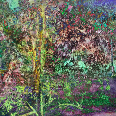 Composition numérique sur palette graphique 2