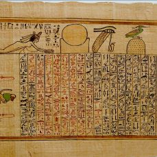 Bénou Phénix Papyrus MET