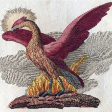 Phoenix, Friedrich Justin Bertuch, Bilderbuch für Kinder, 1790–1830 (Eigenbesitz), Fabelwesen.