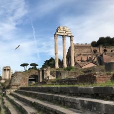 Rome 4 Forum, temple des Dioscures, vue vers le Palatin